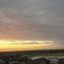 광인농장 | 노랑풍선 호주 시드니 패키지 후기(3) 기념품 및 쇼핑리스트 추천