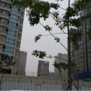 코끼리타워(소담동) 이미지