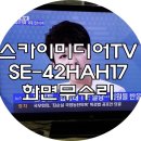 스카이미디어 이미지