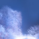 부안교 - 양평군 | 부안교