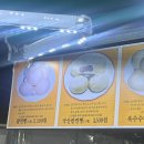 해나라2호 이미지