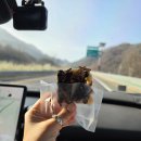 흥덕농장 | 거창 병곡 임불마을 수양벚꽃보고 해인사 찍고 청주 느좋 테라스카페 간 후기