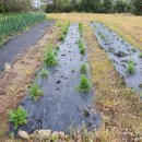 일루와농장 이미지