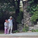 그늘을 찾아 이미지
