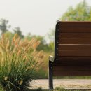 배곧생명공원 이미지