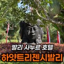 동온탕 | 하얏트 리젠시 발리 2박 후기, 히비스커스 1134호