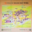 [사찰 순례]대구 가볼만한 사찰 팔공산 팔공총림 동화사 (순례 순서, 주차정보)