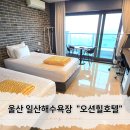 오션힐호텔 | 울산 동구 일산해수욕장 오션뷰에 조식 제공 가성비 숙소 오션힐호텔