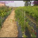 풍곡리마을회관 이미지