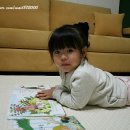 카페트 스튜디오 Daum카페
