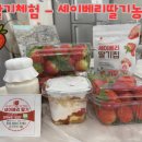 승진농장2 | 대구 아이랑 가볼만한 곳_세이베리딸기농원 딸기따기 체험 솔직 후기!!