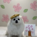 레츠개릿 이미지