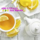 초심 이미지