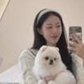 뷰티메이숲 이미지