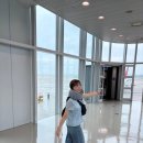 미미세탁 | ✈️ [실사용 후기] 오사카 여행에서 만난 꿀잠템💙 리빙미미 기내용 목베개 솔직 리뷰