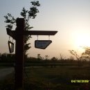 을숙도 철새공원 이미지