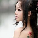 중국 가수들의 동영상 여러 편 이미지
