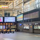동탄중앙약국 | 국내여행 기차여행 서울 수서역 srt 승차 탑승 후기