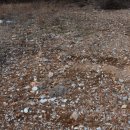 장안동 백자가마터 이미지