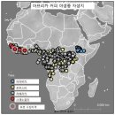커피우림 이미지