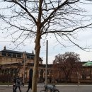 로미하우스 민박 이미지