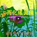 제2호 [JUL'25] 남의 떡이 커 보인다 이미지