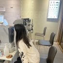 마이오가드 아트로핀 1년 반 후기 가격