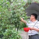 가인민박 이미지