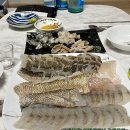25일 -자연산활감성돔, 횟감민어, 어름돔, 자연산활농어, 大딱돔, 大통치민어, 밴댕이, 20미병어, 자랭이병어 이미지