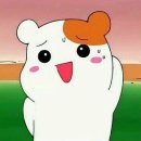 훅 이미지