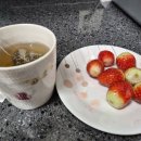 대안농장 | 영월 이룸농장 비타민나무잎차 후기｜무카페인이라 매일 마시기 좋아요