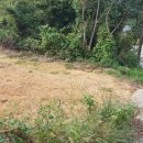 남해-316 이미지