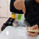 인천 숭의동 봉봉 애견카페는 어때?!