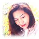 별빛속으로 이미지