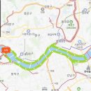 밤새지마란말이야 | 250605 한강나이트런 42K