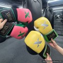 퍼라스복싱&크로스핏짐 | 어바웃복싱 | 여자 복싱 후기 압구정 로데오 서킷 복싱 다이어트 복싱 PT