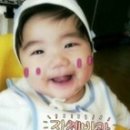 마이구룡포 이미지