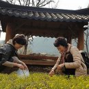 대율리 입구 주차장 이미지