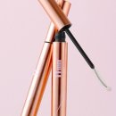 르사(LSA) 이미지