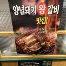희빈장 | 부산 영도 고깃집 돈차돌, 차돌부터 냉삼·육회까지 솔직 후기 2026