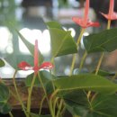 열미리보건진료소 이미지