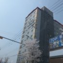 연일읍사무소 이미지
