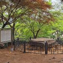 가야의거리(국립김해박물관 주차장~시민의종)회화 | [경상남도 김해시] 김해 대성동 고분군