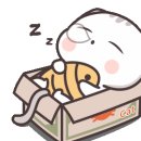 Hello~ !! 💛 이미지