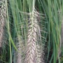 백일주유소 이미지