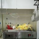 피닉스 동물병원 이미지