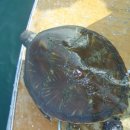 행운수산 이미지