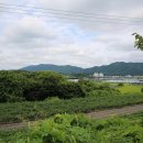 명품관옛날손짜장 이미지