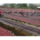 달달홈카페(핸드드립) 이미지