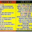 부산조방낙지 이미지